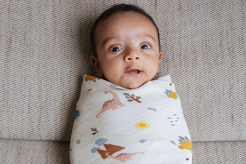 Organic Muslin Swaddle