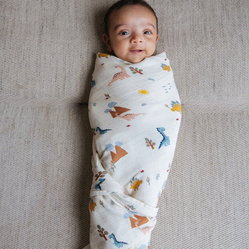 Organic Muslin Swaddle (Set of 2)